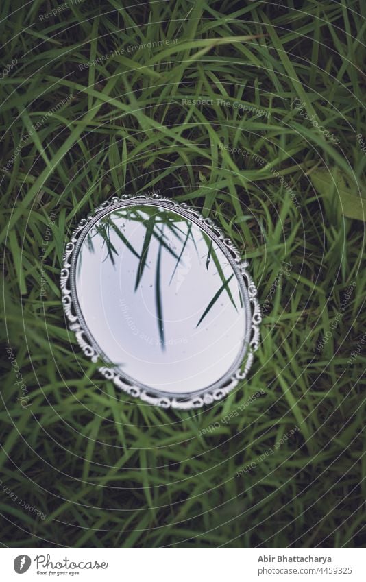 a decorated mirror on grass sky still life royal green reflection glass conceptual