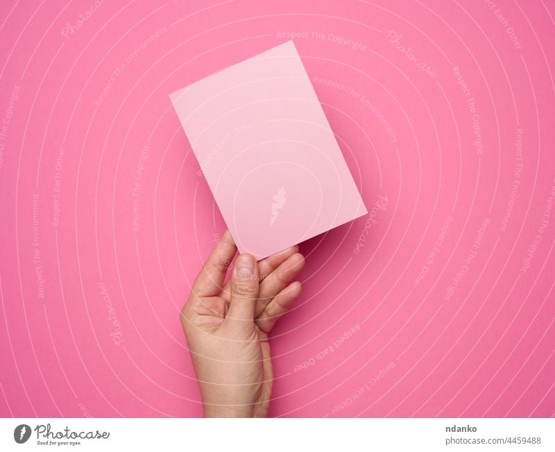 Female hand holding empty pink paper on a pink background. Copy paste image or text person blank business white card finger message communication showing sign