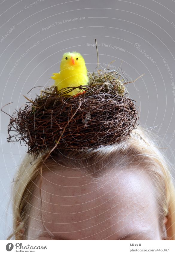 Have a bird Head 1 - a Royalty Free Stock Photo from Photocase