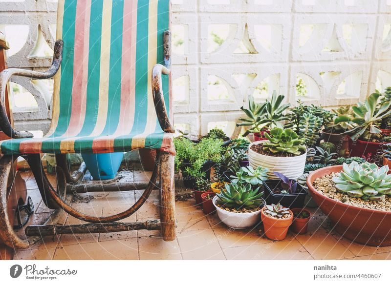 Tranqulity place in home at terrace with lot of succulent plants garden gardening deco retro vintage decorative natural nature pot potted plants chair