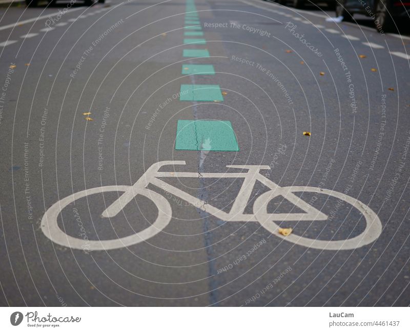 The city needs bicycle lanes! Bicycle Cycling Cycle path Cycling tour Green City Car-free car-free city Transport Street Traffic infrastructure Road traffic
