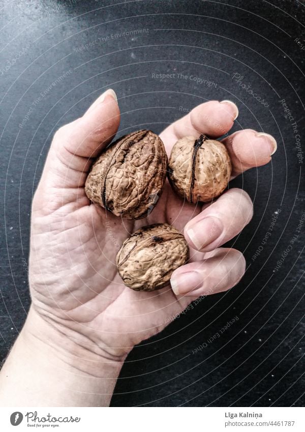 Three walnuts in hand Walnuts Snack Delicious Food Healthy Vegetarian diet Vegan diet Above palm Hand holding