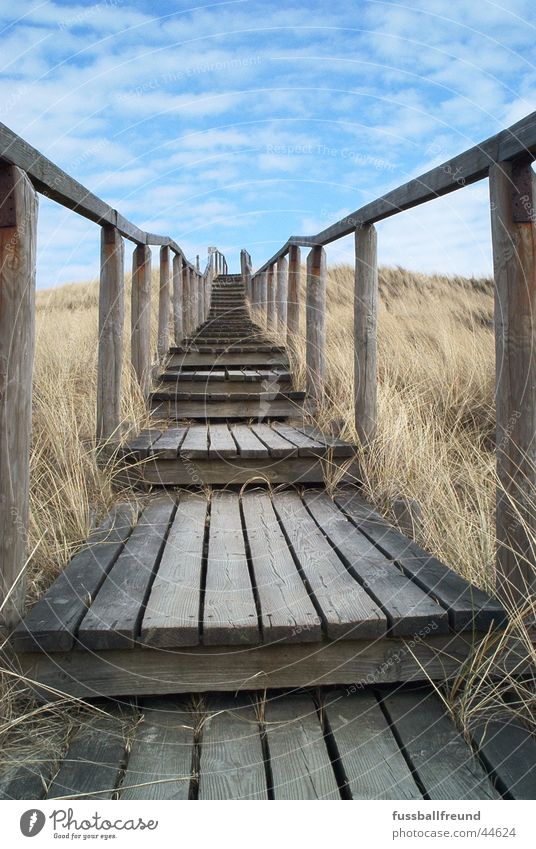 Stairway Footbridge Wood Infinity Loneliness Stairs Beach dune Far-off places Island Sky