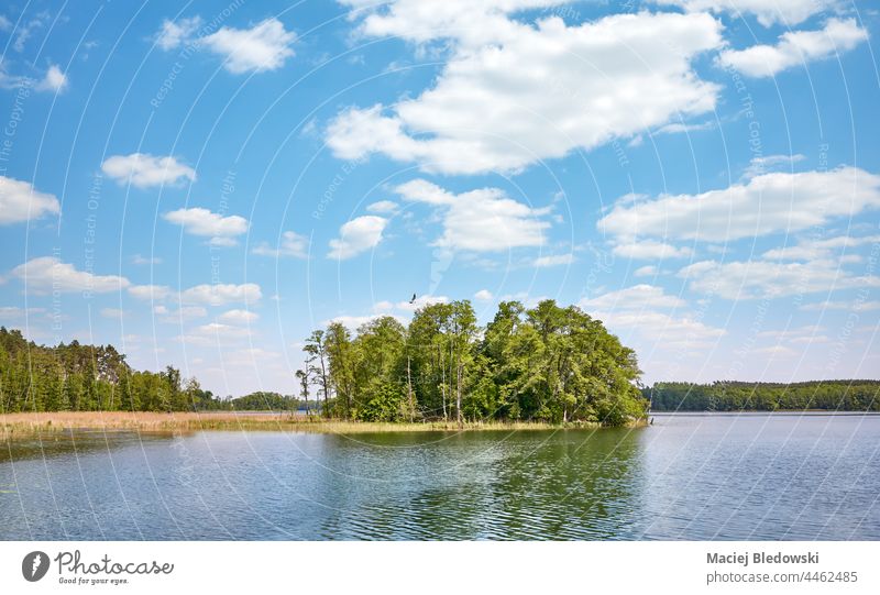 Small island in Osiek lake, Poland. nature landscape water sky wooden forest nobody Europe Strzelce Krajenskie Dobiegniew scenery wilderness cloud sunny summer