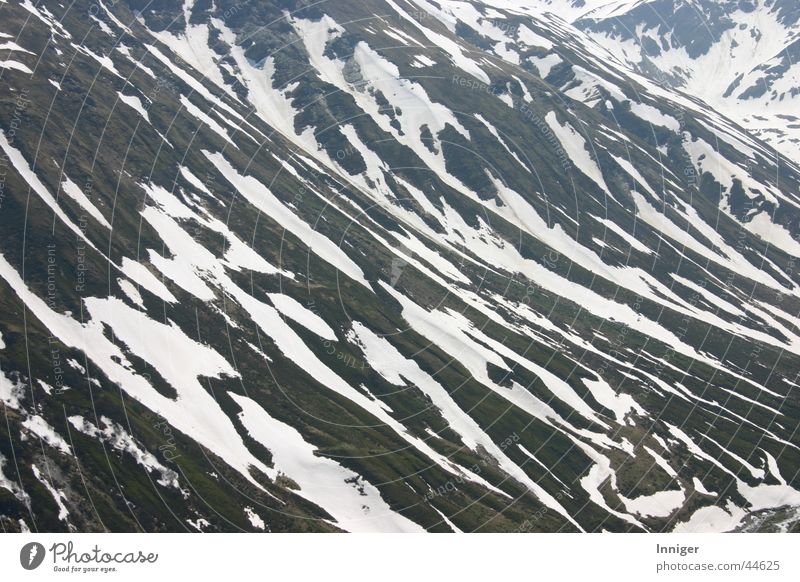 spring zebra Spring Slope Furka Pass Snow melt Mountain Wild soils
