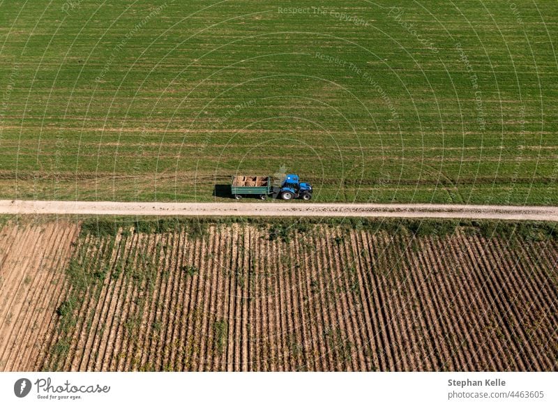 Aerial view at a potatoe harvesting tractor, with lots of potatoes stacked up. vegetable food organic agriculture fresh raw farm plant nature farming crop