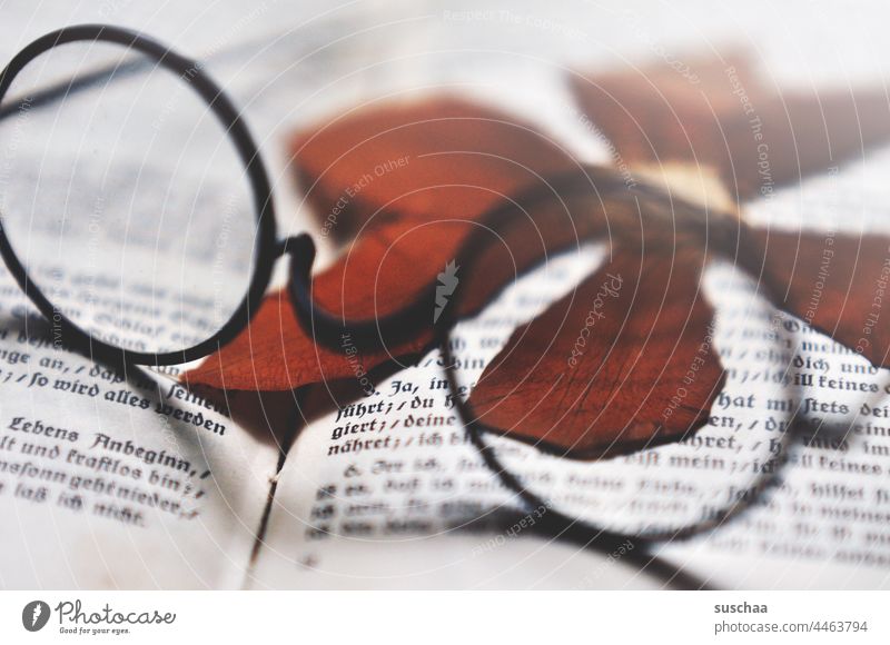 autumn issue - read Book Page Reading Letters (alphabet) printed Reading glasses reading Autumn Autumnal dried leaves Glass Time cold season Reading matter
