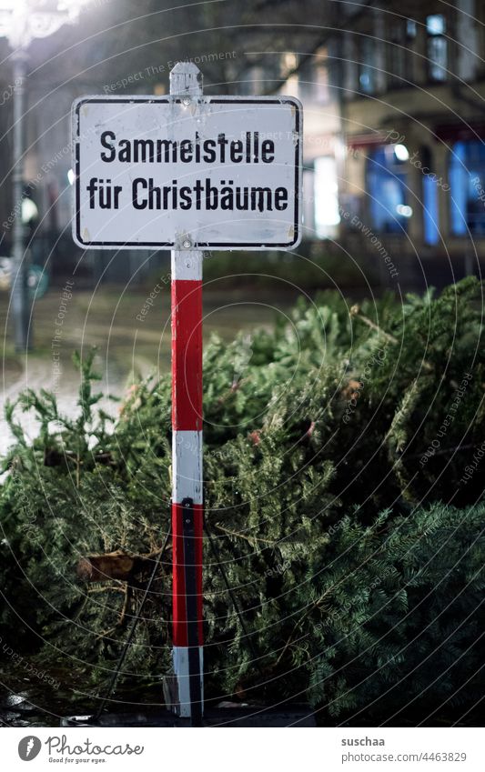 sign at night with the inscription: collection point for christmas trees Signage Signs and labeling Inscription Text Information winter Letters (alphabet)