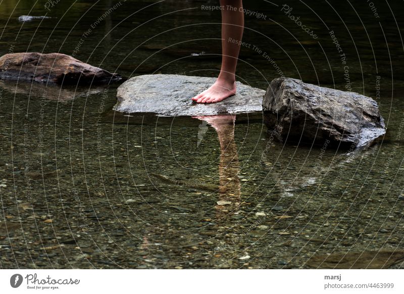One-leg on rocks in water. With reflection this then results in two-leg hydrophobic Reflection in the water Mirroring& Nature Water Lake Calm Cold hesitant