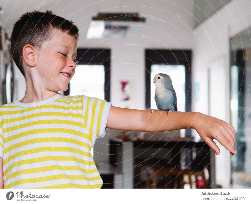 Smiling boy with small domestic parrot in the arm owner bird lovebird curious pet interest positive specie kid plumage little child avian feather animal home