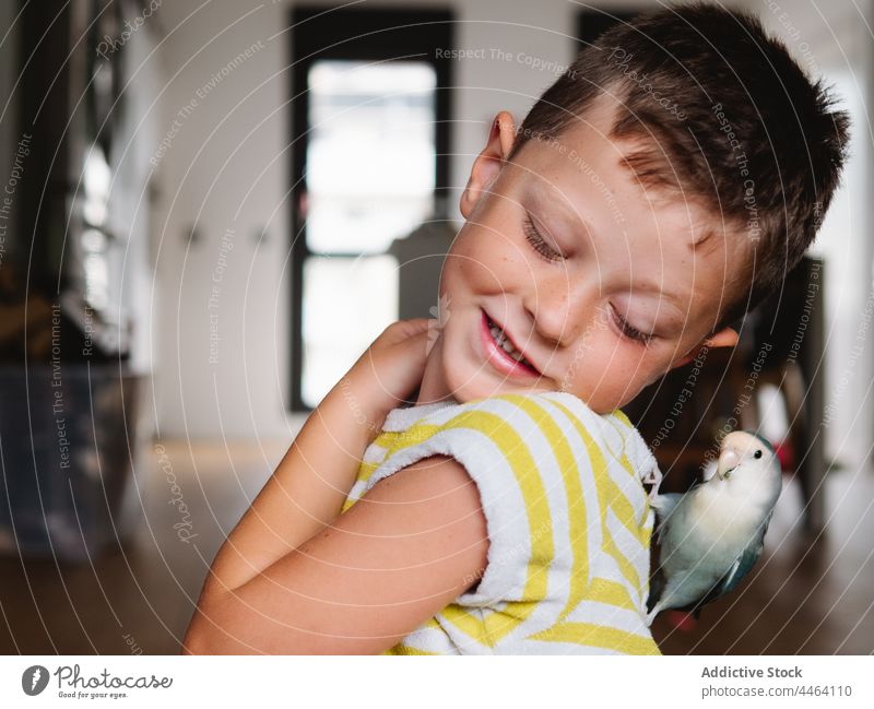Smiling boy with small domestic parrot in the back owner bird lovebird curious pet interest positive specie kid plumage little child avian feather animal home