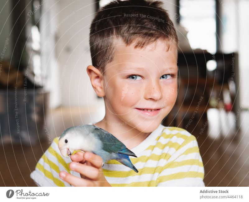 Smiling boy with small domestic parrot on hand owner bird lovebird curious pet interest positive specie kid plumage little child avian feather animal home
