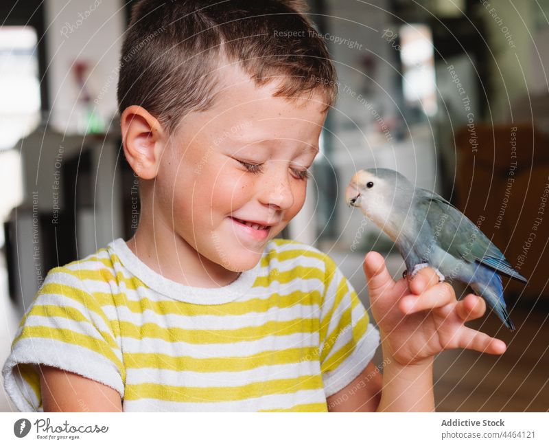 Smiling boy with small domestic parrot on hand owner bird lovebird curious pet interest positive specie kid plumage little child avian feather animal home