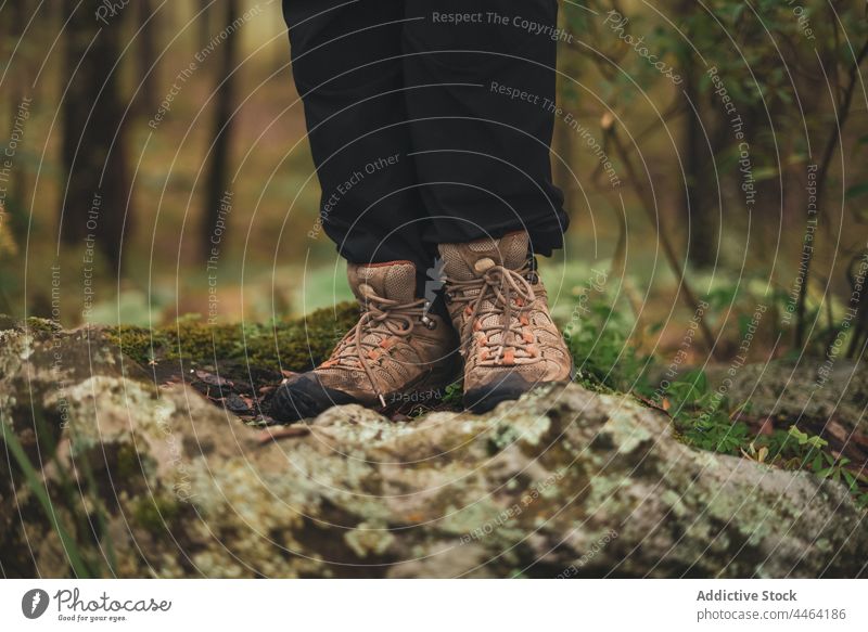 Person standing on rocky ground in forest person stone moss nature explore adventure environment wildlife boulder freedom boot footwear tourism traveler