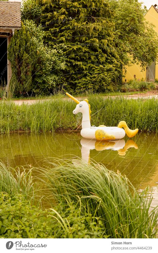 inflatable unicorn be afloat Mythical creature pond inflate fantasy Swimming & Bathing Exterior shot Day reflection Reflection Wet Lake Pond myth Invention