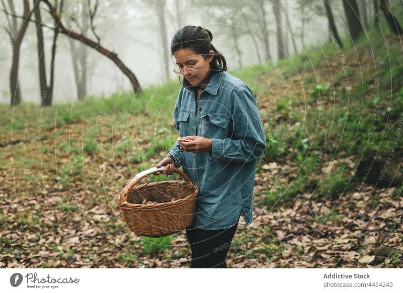 Woman collecting mushrooms in misty forest woman pick wicker basket haze nature fog woodland female harvest grove environment serious woods edible carry autumn