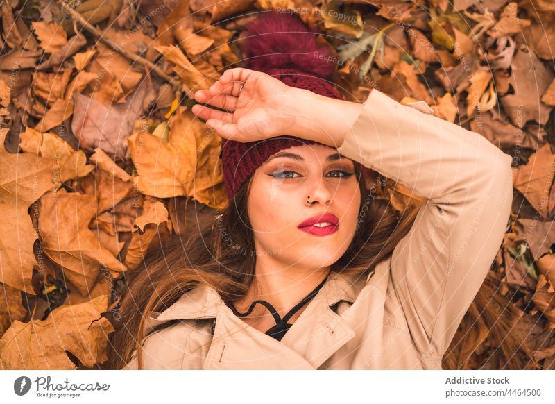 Woman lying on autumnal leaves in park woman foliage romantic appearance dry charming makeup style gaze female leaf portrait fall glance plant personality