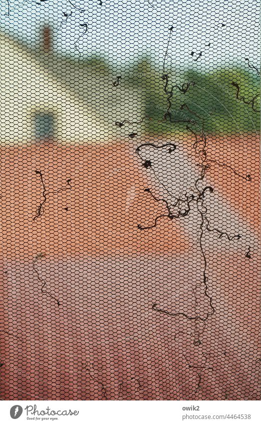 Window Scrap Fly screen Old Protection Plastic Gauze Structures and shapes Pattern Honeycomb pattern hexagonal Near Interior shot Contrast Woven Window pane