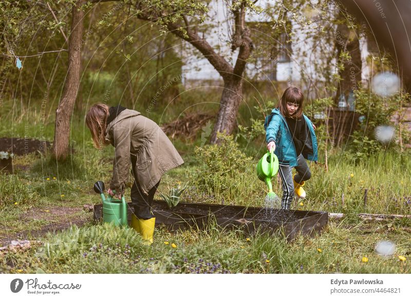 Children watering plants in the community garden allotment beds kids city agriculture natural vegetable patch outdoors container grow environmental
