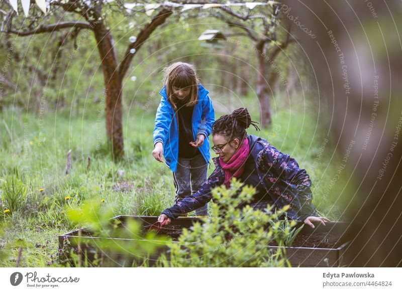 Mother and daughter planting seeds in the community garden allotment beds kids city agriculture natural vegetable patch outdoors container grow environmental