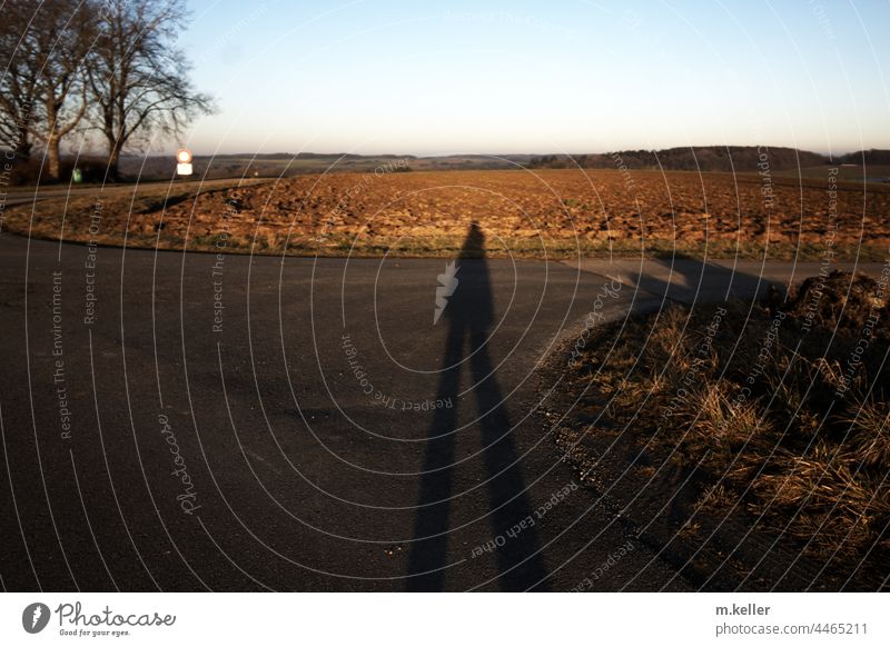 Shadow of a person in the evening light on the field Light To go for a walk by oneself Field Landscape Nature Exterior shot off the beaten track