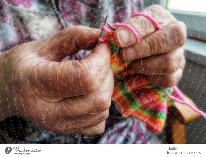 Hands of an old lady knitting age Knit senior citizens Home for the elderly Wool Fingers Handcrafts Colour photo Knitting pattern variegated Soft