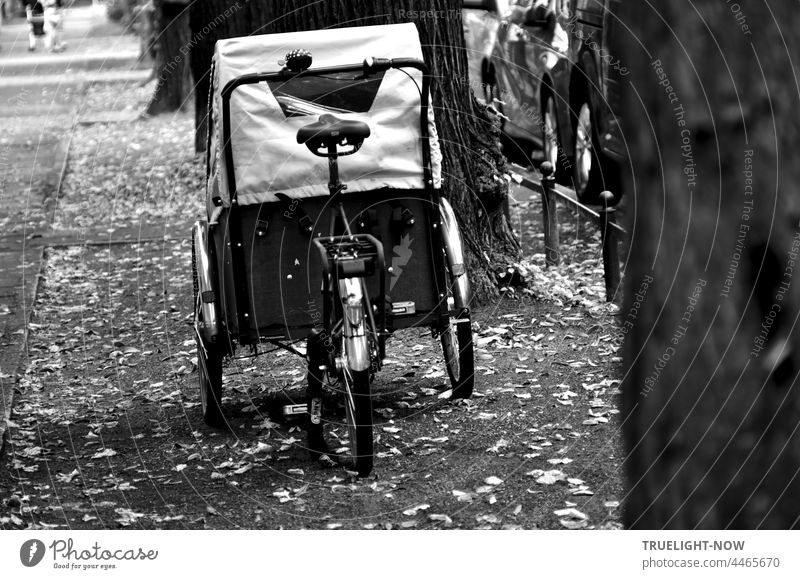 More space for cargo bikes, rickshaws, child transport bikes is needed, on the streets and for parking load wheel Bicycle Rickshaw Child carrier Transport