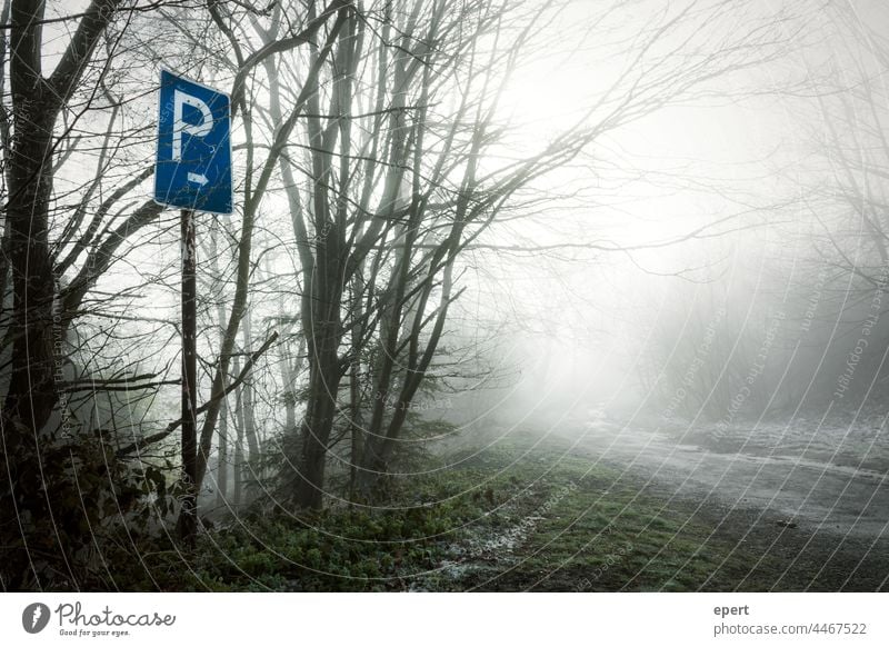 Parking right Signs and labeling Forest Lanes & trails Parking lot Fog Loneliness cryptic Cold Whimsical