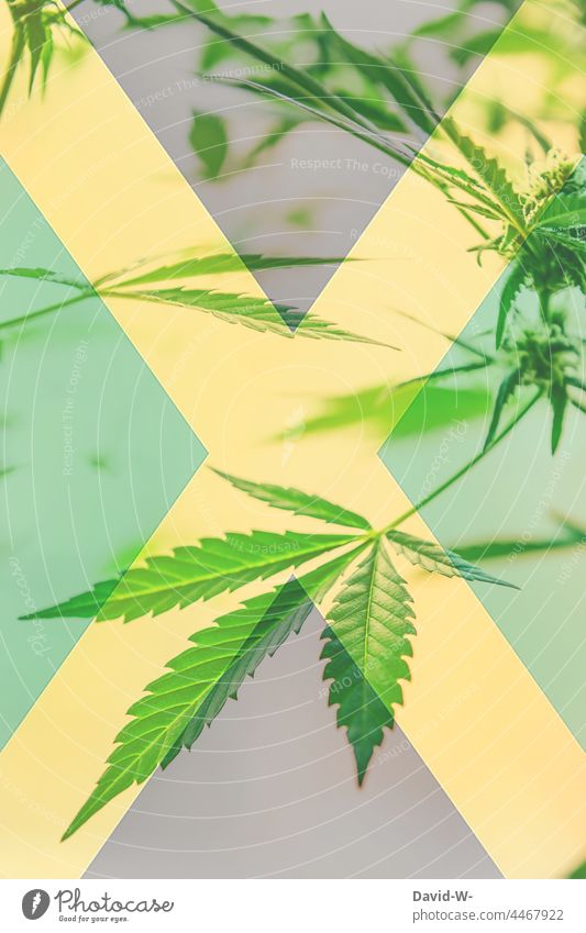Jamaika Flagge in Verbindung mit Drogen Drogenkonsum Bündnis Politik Zeichen Konzept Ausland Marihuana legal Illegal