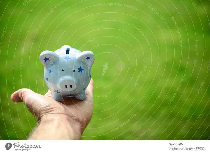 Piggy bank in hand - concept - save piggy bank Money box Save Thrifty reserves finance Future Hand Green Environment Sustainability