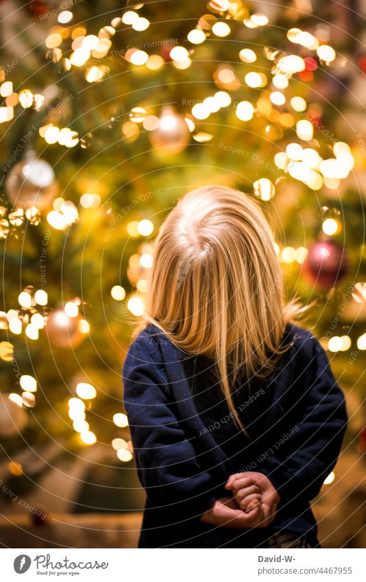 Child at Christmas in front of a decorated Christmas tree Fairy lights Adorned Anticipation Illuminate Christmas fairy lights Marvel Cute