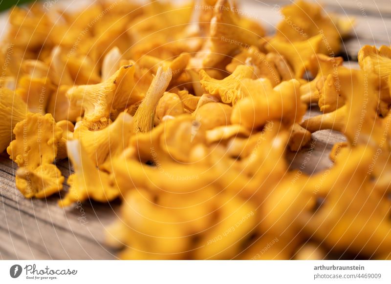 Freshly harvested chanterelles to clean on old wooden table Nutrition Eating wobbly Mushroom Nature out vegan vegetarian close-up salubriously Healthy Forest
