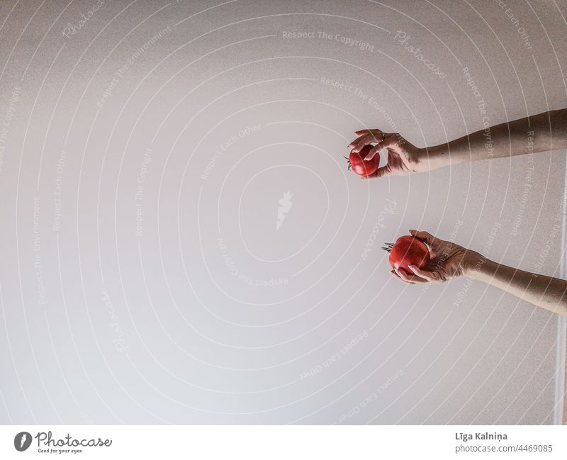 Hands holding tomatoes Tomatoes organic food healthy Vegetable Red Healthy Colour photo Delicious hands palm wrist body part Arm Food Minimalistic minimalism