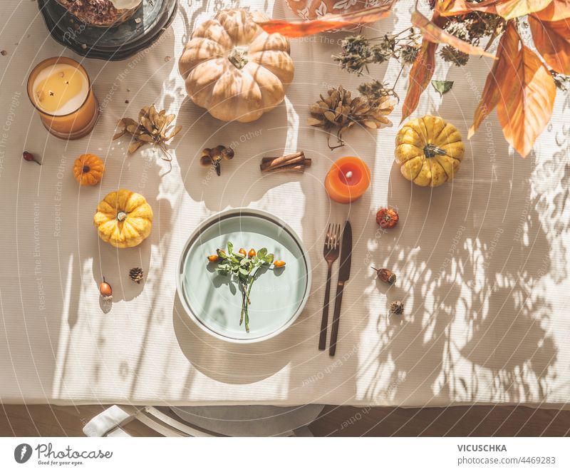 Top view of autumn table setting with pumpkins, leaves, plate, cutlery and chair. Sunlight. Top view top view sunlight cozy orange candle utensil serving
