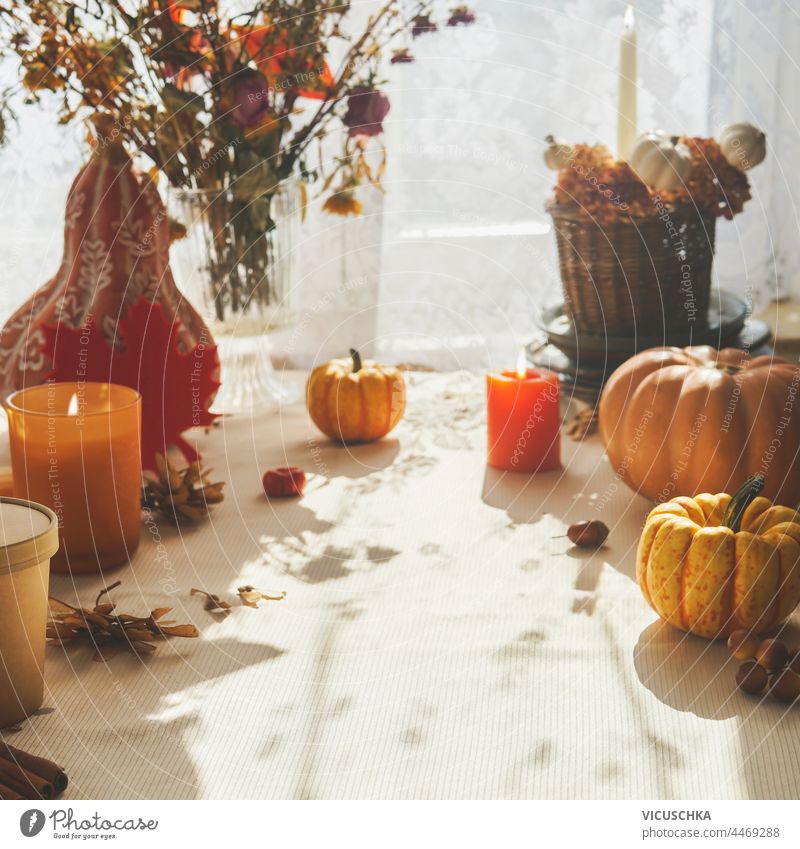 Autumn still life background with pumpkins, candles and flowers arrangement on table at window and sunlight. autumn cozy style object leaves day relax home fall