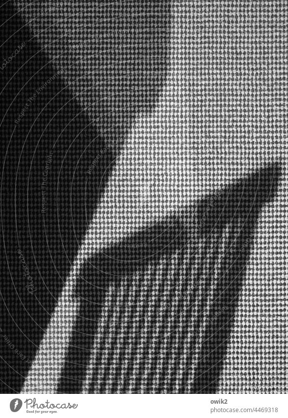 survey Close-up Shadow play Interior shot Under Carpet Black & white photo Detail Structures and shapes Pattern Abstract Sunlight Calm Long shot