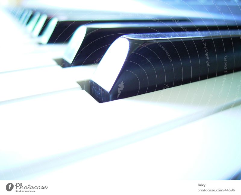 mon piano Keyboard Piano Overexposure Leisure and hobbies luky-page