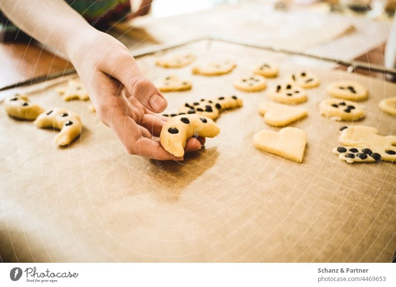 Hand puts Christmas cookies on baking tray cut out cookies Icing Cookie Advent Baking pre-Christmas period advent season Christmas biscuit Infancy Baking tray