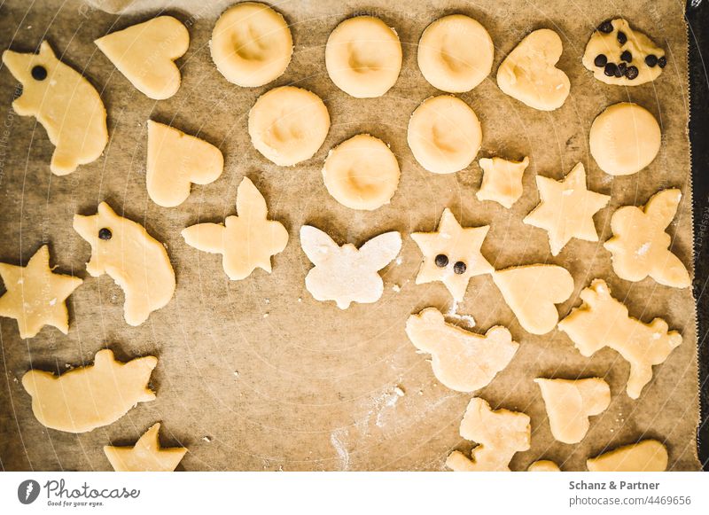 Baking tray with Christmas cookies Cookie pre-Christmas period Advent advent season Christmas biscuit Infancy baking paper Sugar dough Icing cute