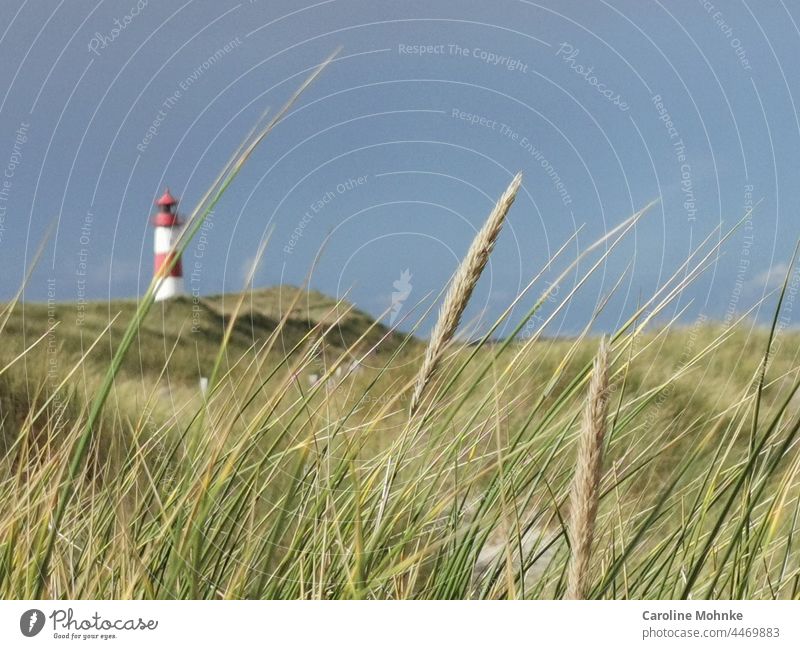 Lighthouse at the beach on Sylt Relaxation Beach Nature Sand Landscape North Sea Red White Germany Frisia Building Schleswig-Holstein Beacon Grass