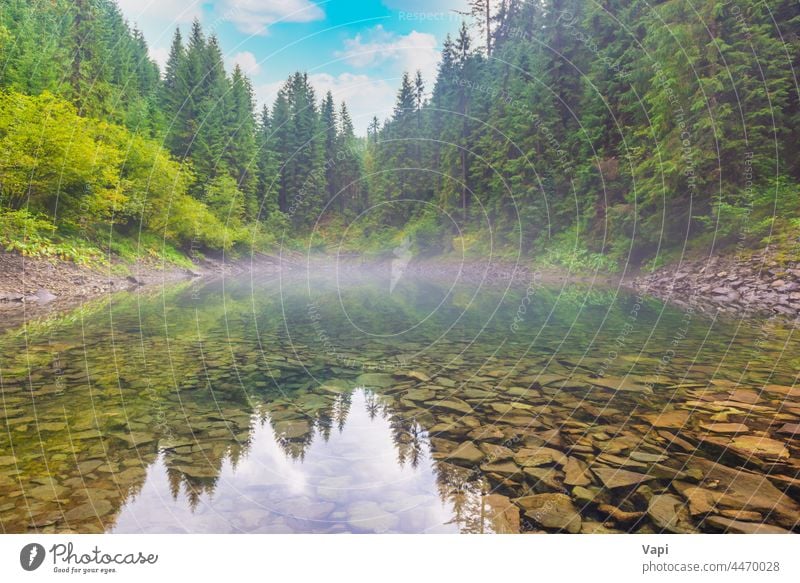 Forest misty blue lake water forest nature landscape beautiful fog morning park sky reflection green tree scenic outdoor mountain summer river national pond