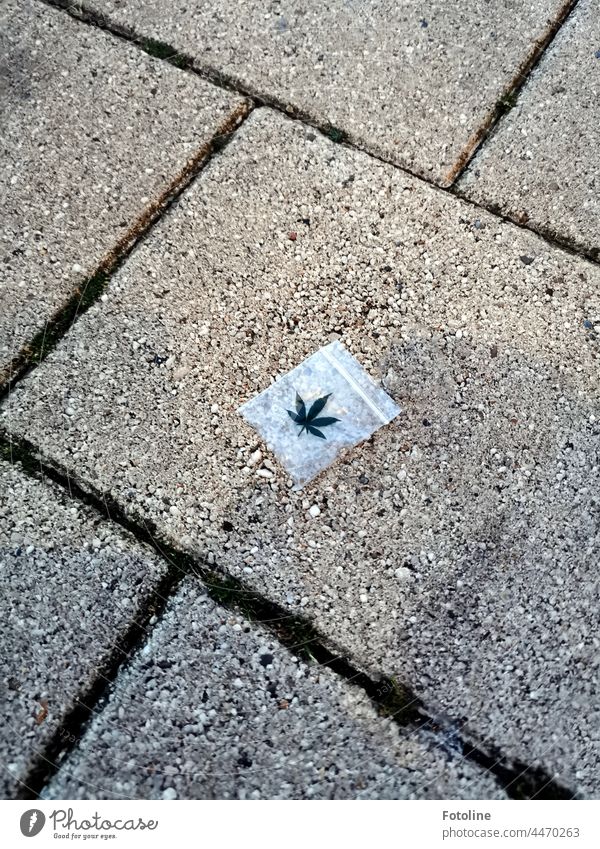 There's a bag of canabis between the joints of the flagstones. Footpath Lanes & trails Colour photo Stone Deserted Day Paper bag sachets Small Drug addiction