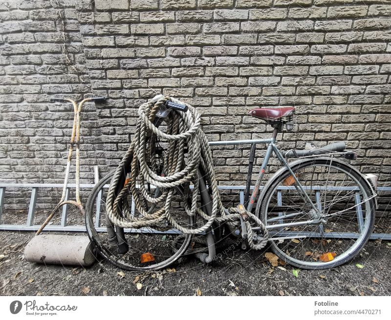 Ladder, rope, bicycle and such form an exciting garden clutter still life here. Rope Bicycle Saddle Tire Bicycle tyre Spokes Wheel Means of transport