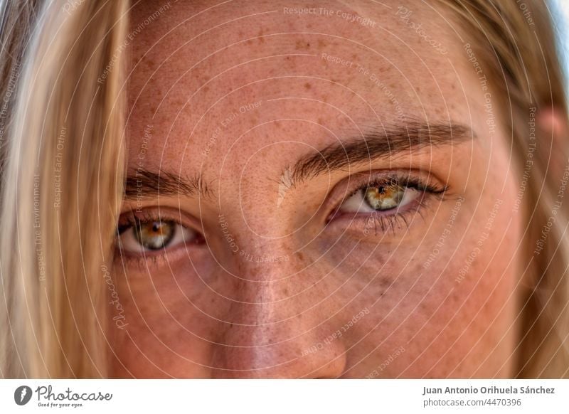 Detail of the freckled face of a blonde girl with green eyes pretty lifestyle people attractive young woman adult person white blond hair looking beauty female