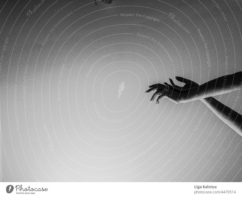 Hands hands Black & white photo Woman Human being Palm of the hand Shadow Fingers Arm Minimalistic Gesture Conceptual design wrist body part Neutral Background