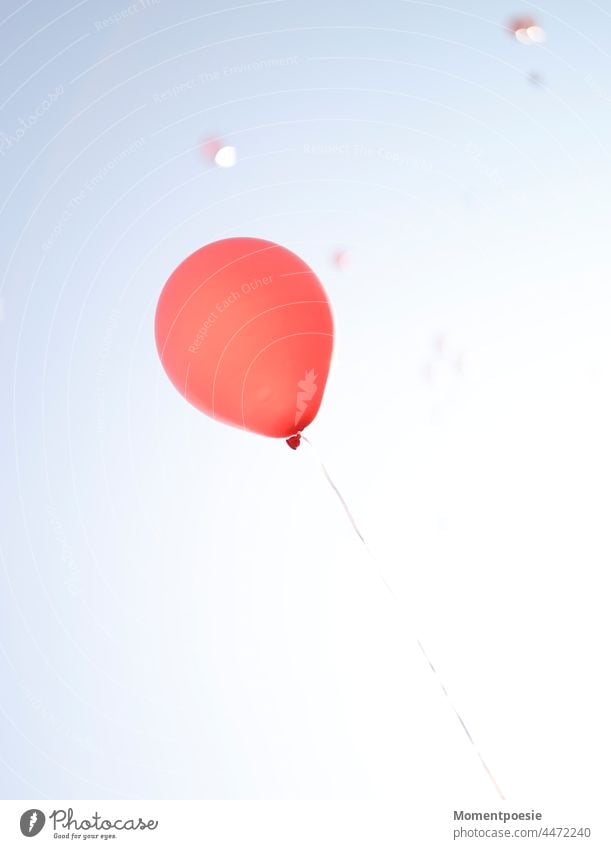 flying red balloon Balloon Freedom flies Flying Red Blue Sky religion Belief Air Wind windy Tall ascend flight clear Happy fortunate Upward Go up Exterior shot