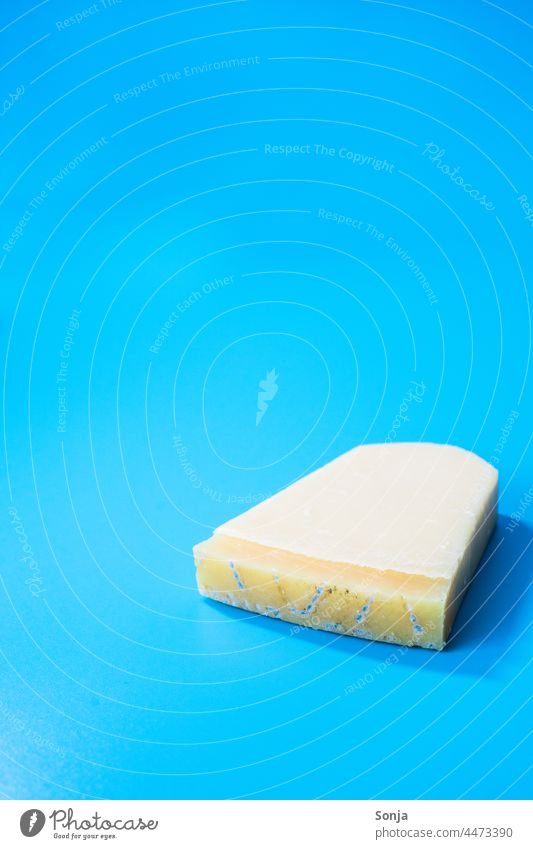 A piece of moldy parmesan cheese on a blue background Parmesan Cheese slice Italian Blue segregated Inedible Spoiled Close-up Gray (horse) Unhealthy