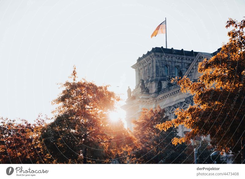 Reichstag in the morning in autumn IV Downtown Berlin Sandstone Concrete Central perspective Abstract Pattern Structures and shapes Morning Beautiful weather