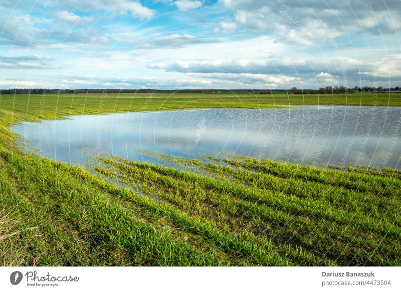 Water puddle after rain on a green farmland field water nature agriculture landscape rural grass countryside outdoor wet sky plant spring meadow agricultural