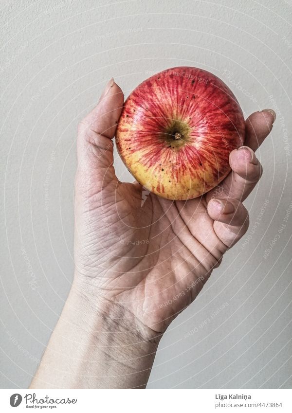 Hand holding an Apple Fruit Healthy Red Healthy Eating Food Nutrition Organic produce Colour photo Vegetarian diet Delicious Fresh Diet Vitamin Vitamin-rich